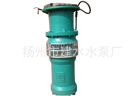 QS潜水电泵01