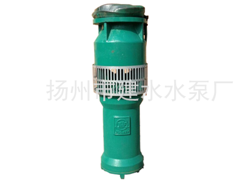 QS潜水电泵02